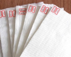 長(zhǎng)絲土工布1